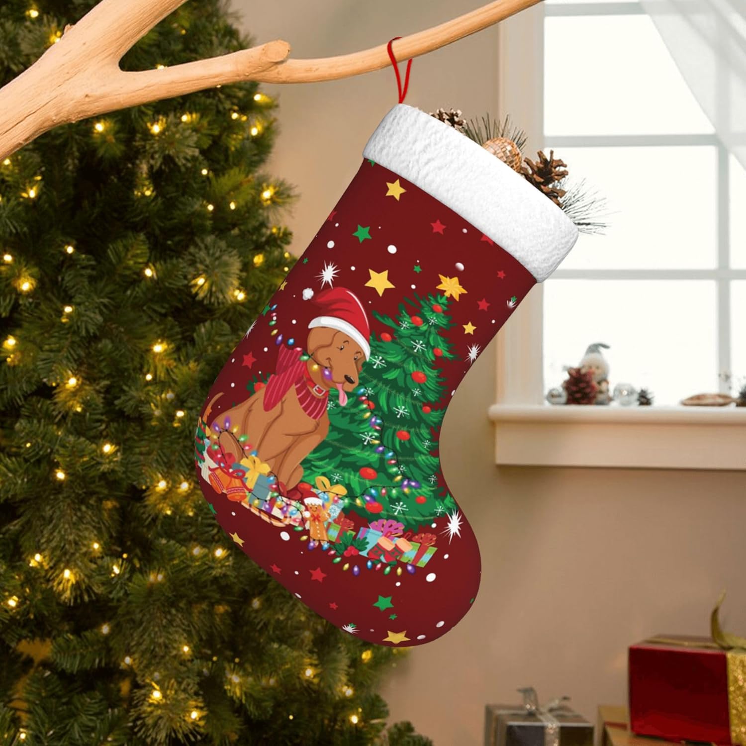 ถุงเท้าคริสต์มาสลายไฟสำหรับแขว - Christmas Stocking Hanging บทวิจารณ์และราคา